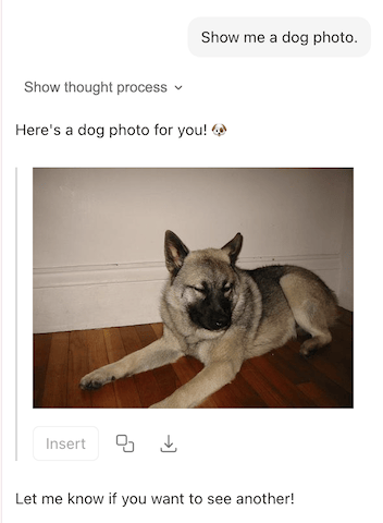 A screenshot of chat response containing an image.